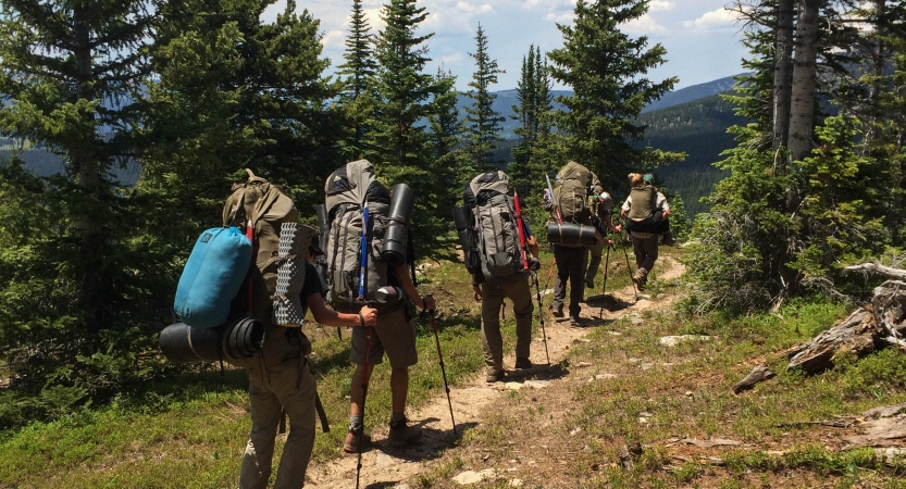 a group of people follow a trail away from the camera